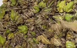 青蛙养殖成本与售价多少？