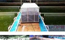 水产养殖废水治理技术