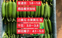 2025年昆明黄瓜价格会涨还是跌？