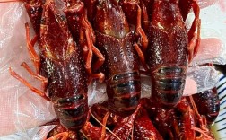 大个淡水小龙虾新品种，个头有多大？