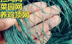 网上养鸡技术有哪些要点？