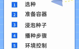 豆芽种植技术有哪些关键步骤？