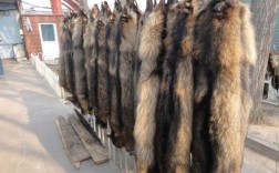 2025貉皮价格会涨还是跌？