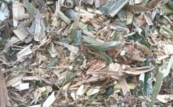 东北玉米秸秆青贮技术怎么做？