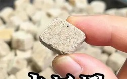 水蚯蚓无水养殖可行吗？技术要点是什么？