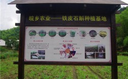 农业种植技术网址大全有哪些实用资源？