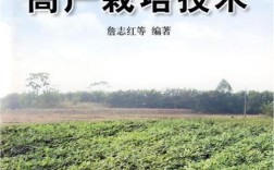 花生覆膜春播，高产技术关键何在？