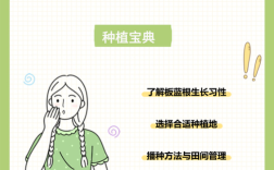 板蓝根种植利润高吗？技术门槛怎样？