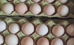 德阳鸭蛋价格现在多少钱一斤？