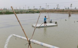 化肥养鱼如何实现高产？