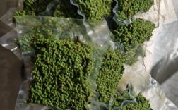 2025年云南青花椒价格会涨还是跌？