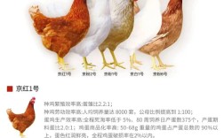 特种养殖有哪些常见品种？