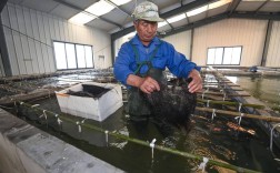 水产苗种繁育前沿技术有哪些新突破？