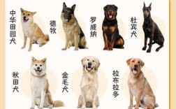 养肉狗选什么品种好？