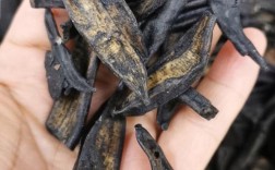 安徽亳州水蛭收购价现在多少？