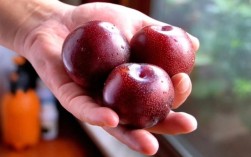 七月李子品种有哪些？