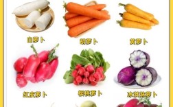 萝卜品种图片有哪些？