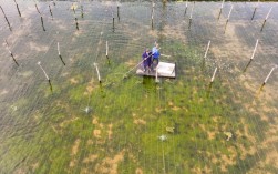 河水饮用池塘养鱼技术可行吗？