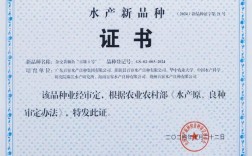 杂交黄颡鱼品种认定证书有何具体价值？