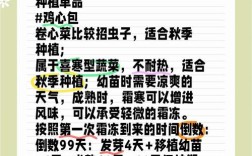 卷心菜何时种？技术要点有哪些？