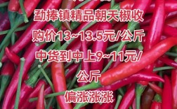 2025朝天椒价格会涨还是跌？