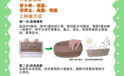 白萝卜高产种植关键技术有哪些？