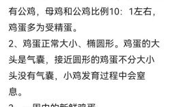 蛋鸡孵化技术指导视频能解决哪些实际孵化难题？温度湿度调控、翻蛋频率等关键操作如何精准把握？