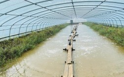 大虾养殖技术指导室外