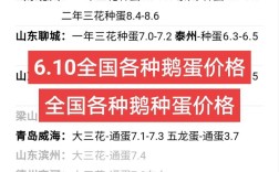 2025鹅蛋最新价格是多少？
