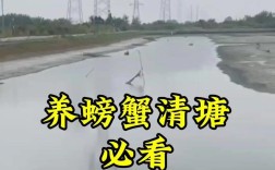 水塘养殖螃蟹技术与方法