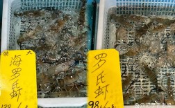 2025罗氏沼虾价格行情将如何走势？