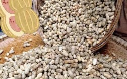 2025年花生角价格会涨还是跌？