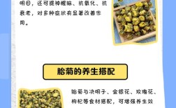 最新胎菊种植技术视频有何关键要点？