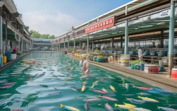 广东创新水产养殖，广东创新水产养殖场