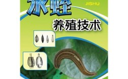 哪里能买到水蛭养殖技术书籍？
