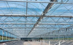 大棚无土养黄鳝，技术要点有哪些？