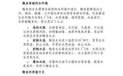 鲮鱼养殖技术视频 网站