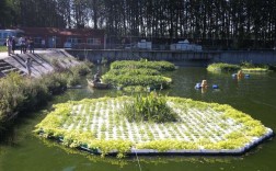 水上种菜技术CCTV揭秘？