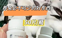 2025年肉兔皮价格会涨还是跌？