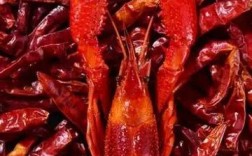 上海小龙虾批发价今日多少钱一斤？