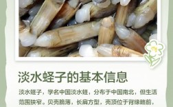 蛏子淡水养殖技术要点有哪些？