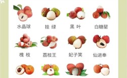 荔枝品种有哪些？