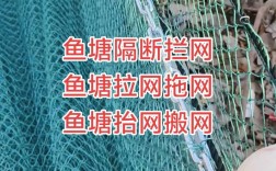 湖泊围网鳊鱼养殖技术要点有哪些？