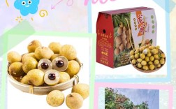 桂圆品种有哪些？