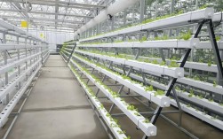 家庭种植养殖加工新技术有哪些实用妙招？