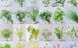 常见草花品种有哪些？
