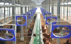 中国最先进养殖技术有多强？