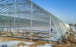 冬天塑料大棚管理技术有哪些关键要点？