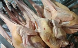 珍珠鸡的品种有好多