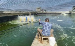 福建哪里能学靠谱的养殖技术？